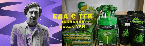 тгк Володарск
