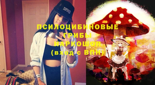 тгк Володарск