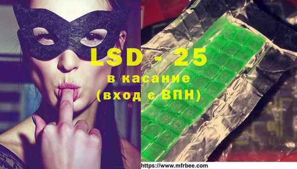 тгк Володарск